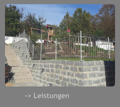 -> Leistungen