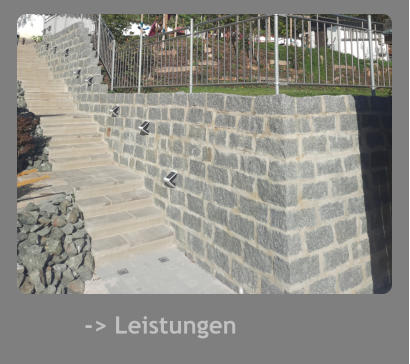 -> Leistungen