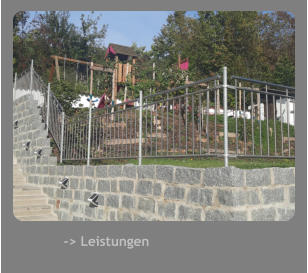 -> Leistungen