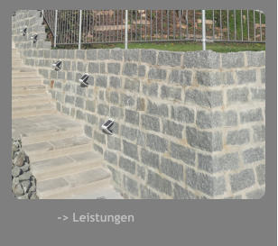 -> Leistungen